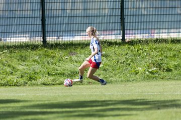 Bild 176 - wBJ Hamburger SV - VfL Wolfsburg : Ergebnis: 5:1